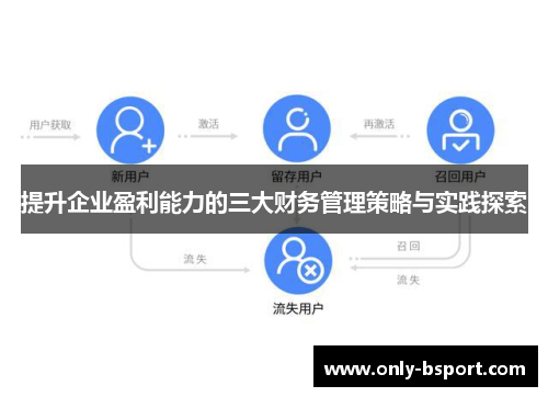 提升企业盈利能力的三大财务管理策略与实践探索