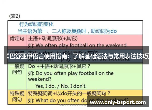 《巴舒亚伊语言使用指南：了解基础语法与常用表达技巧》