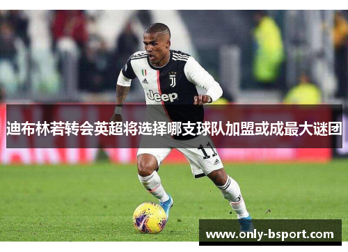 迪布林若转会英超将选择哪支球队加盟或成最大谜团 迪布林若转会英超将选择哪支球队加盟或成最大谜团