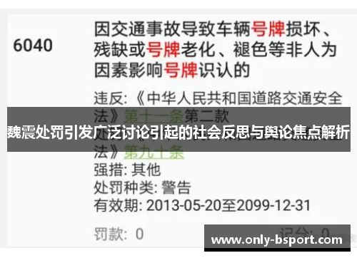 魏震处罚引发广泛讨论引起的社会反思与舆论焦点解析